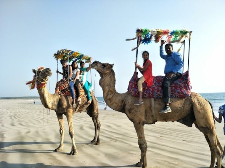 Bhadkeswar Mahadev Temple-4